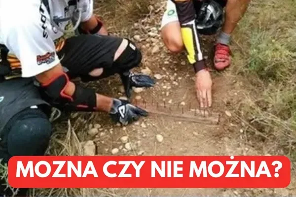 Masz prawo bronić swojej własności. Ale z głową i zgodnie z prawem.