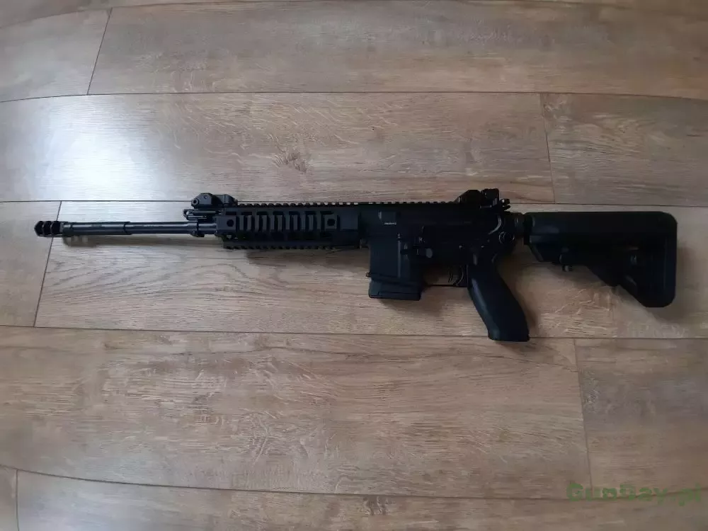 karabin-sig-sauer-2.jpg