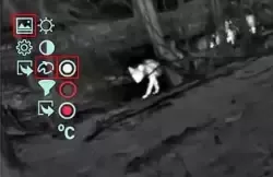 2539.jpg