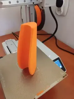 1000026635.jpg