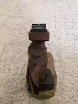 1000072793.jpg
