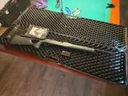 SAUER 303 