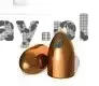 Pociski H&N RN 9mm .356 125gr-8,1g HS.jpg