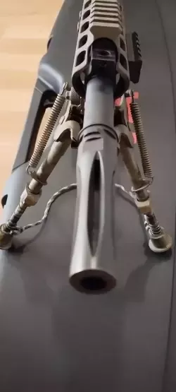 1745494501387.jpg
