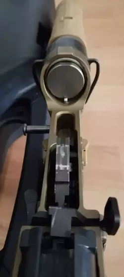 1745494501381.jpg