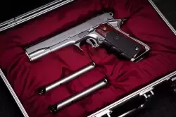 Silverballer Hitmana: Colt Gold Cup National Match
