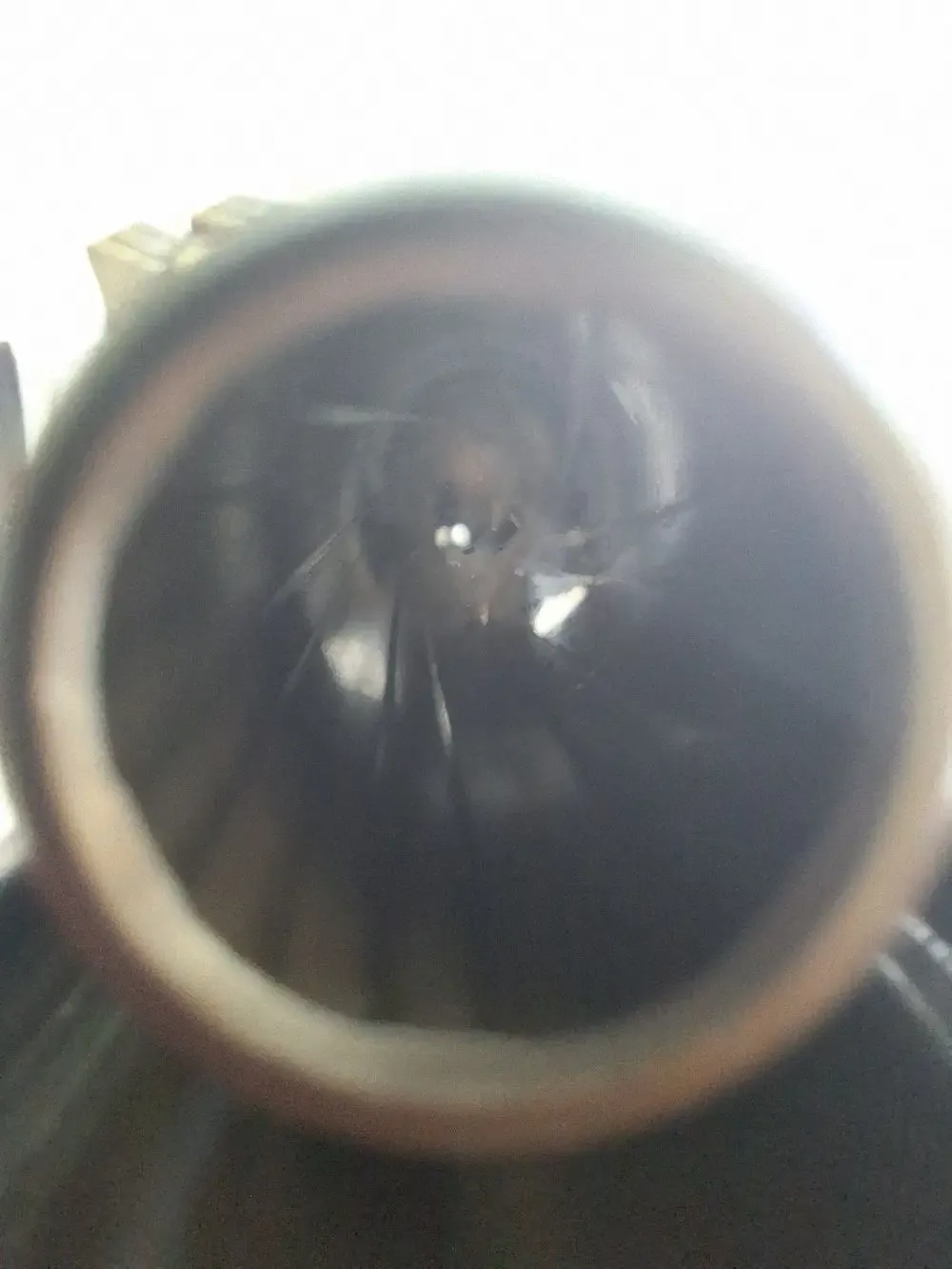 20250702_161943.jpg