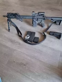 Sigsauer m400