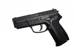 SZWAJCARSKI SIG SP2009 | STAN BARDZO DOBRY