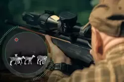 2536.jpg