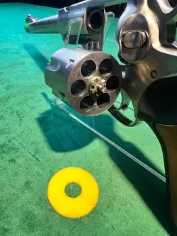 Ruger 
