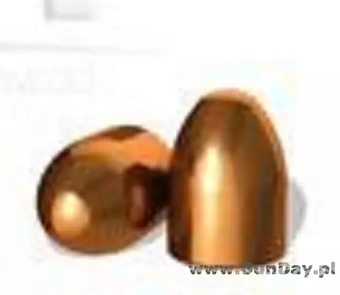  Pociski H&N RN .45 ACP 200gr/12,96g HS 