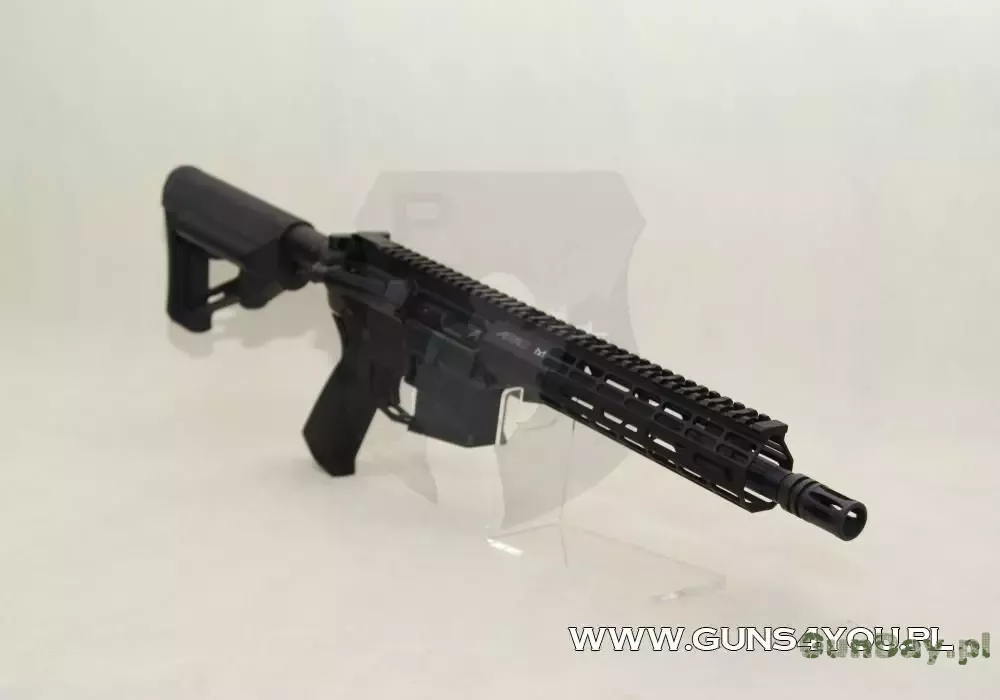 karabin-aero-precision-4.jpg