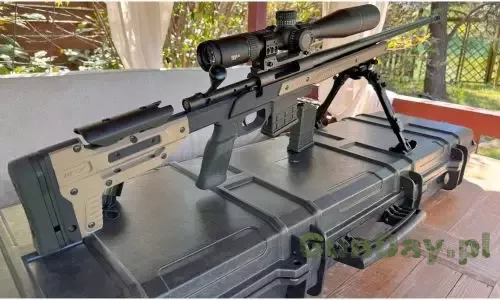 H5.jpg
