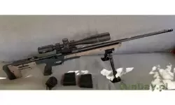 H2.jpg