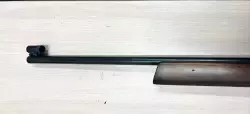 IMG02.JPG