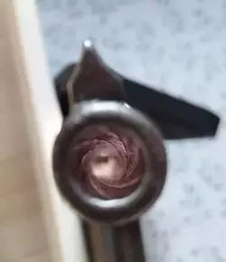 1000010595.jpg
