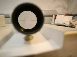 1743166818768.jpg