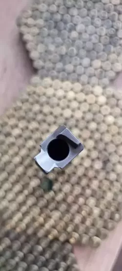 1000027227.jpg