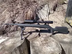 CZ 600 Alpha 308 win