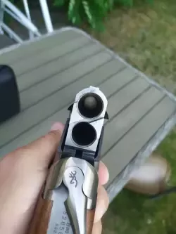 1715969575420.jpg
