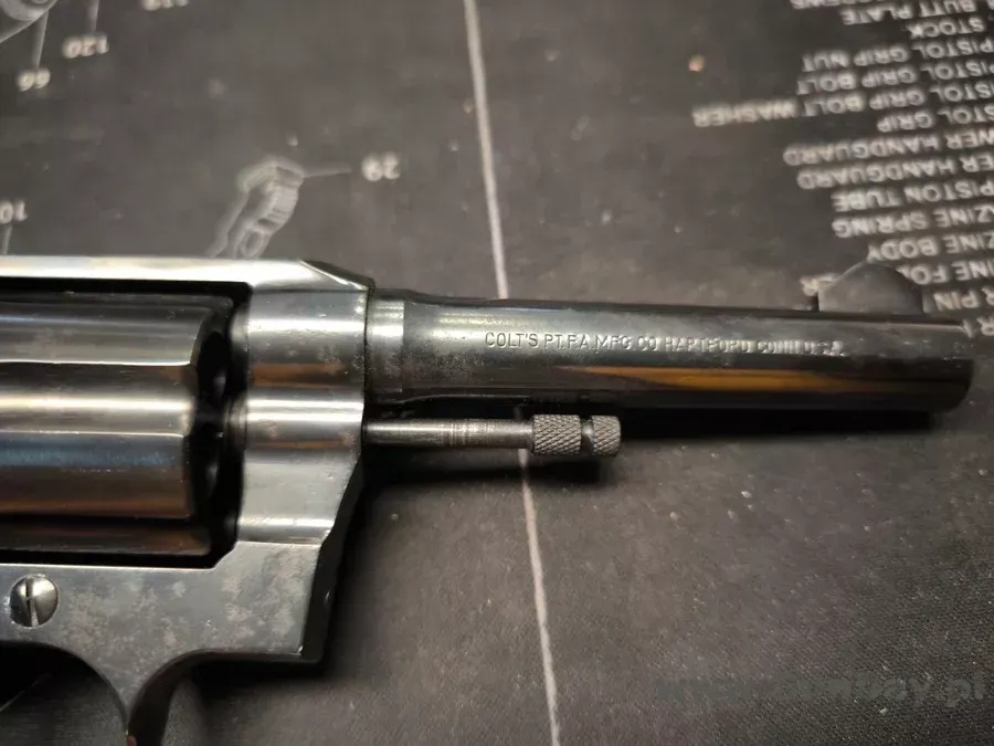 colt poli.webp