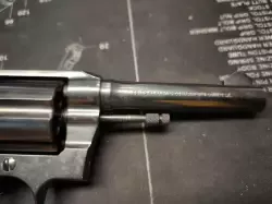 colt poli.webp