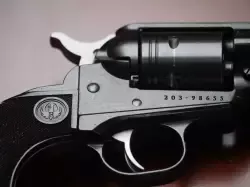 Ruger Wrangler Skngle Action 22LR
