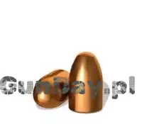 Pociski H&N RN .308 165gr-10,69g HS.jpg