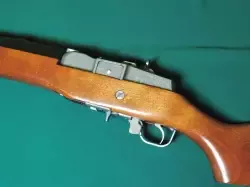 20250324_202151.jpeg