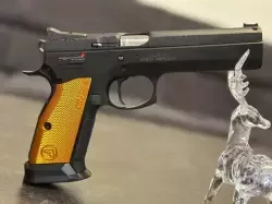 cz1.jpg