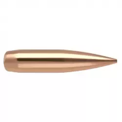 p5461-pociski-nosler-22-hpbt-rdf-77g-100-53452-2.webp