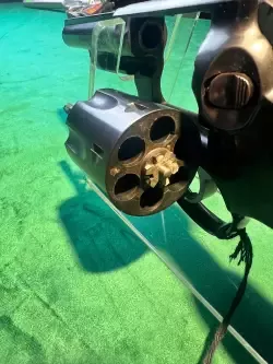Ruger 