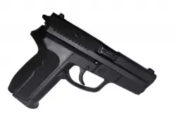 SZWAJCARSKI SIG SP2009 | STAN BARDZO DOBRY