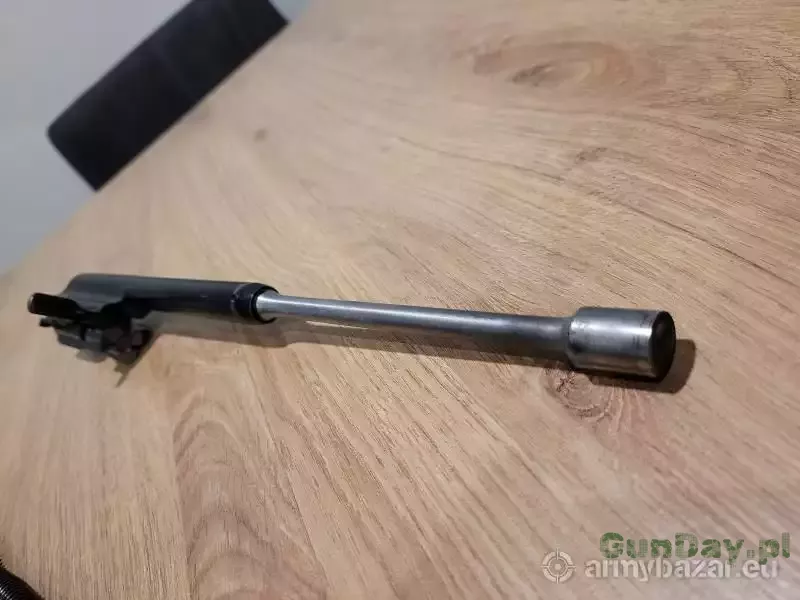 saiga5.jpg