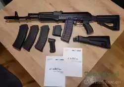 saiga1.jpg