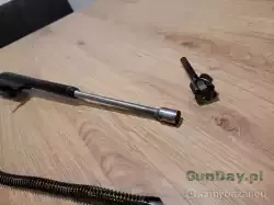 saiga3.jpg