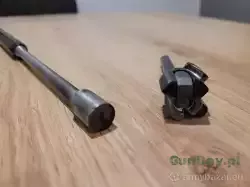 saiga4.jpg