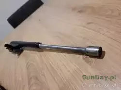 saiga5.jpg