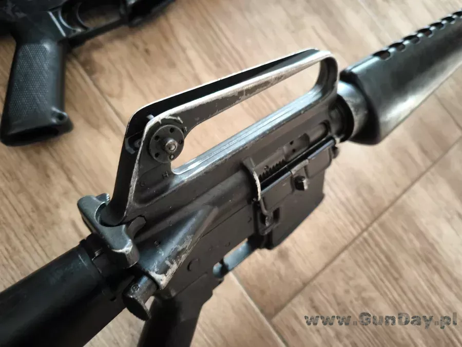 colt3.webp