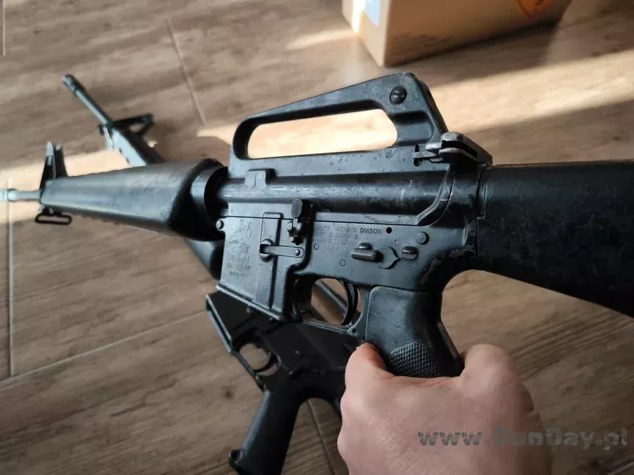 colt5.webp