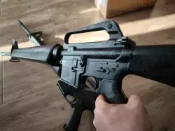 colt5.webp