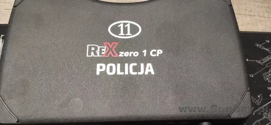 rex.webp