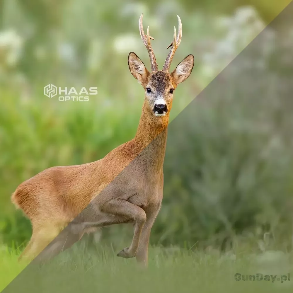 HAAS_lens_contrast.jpg