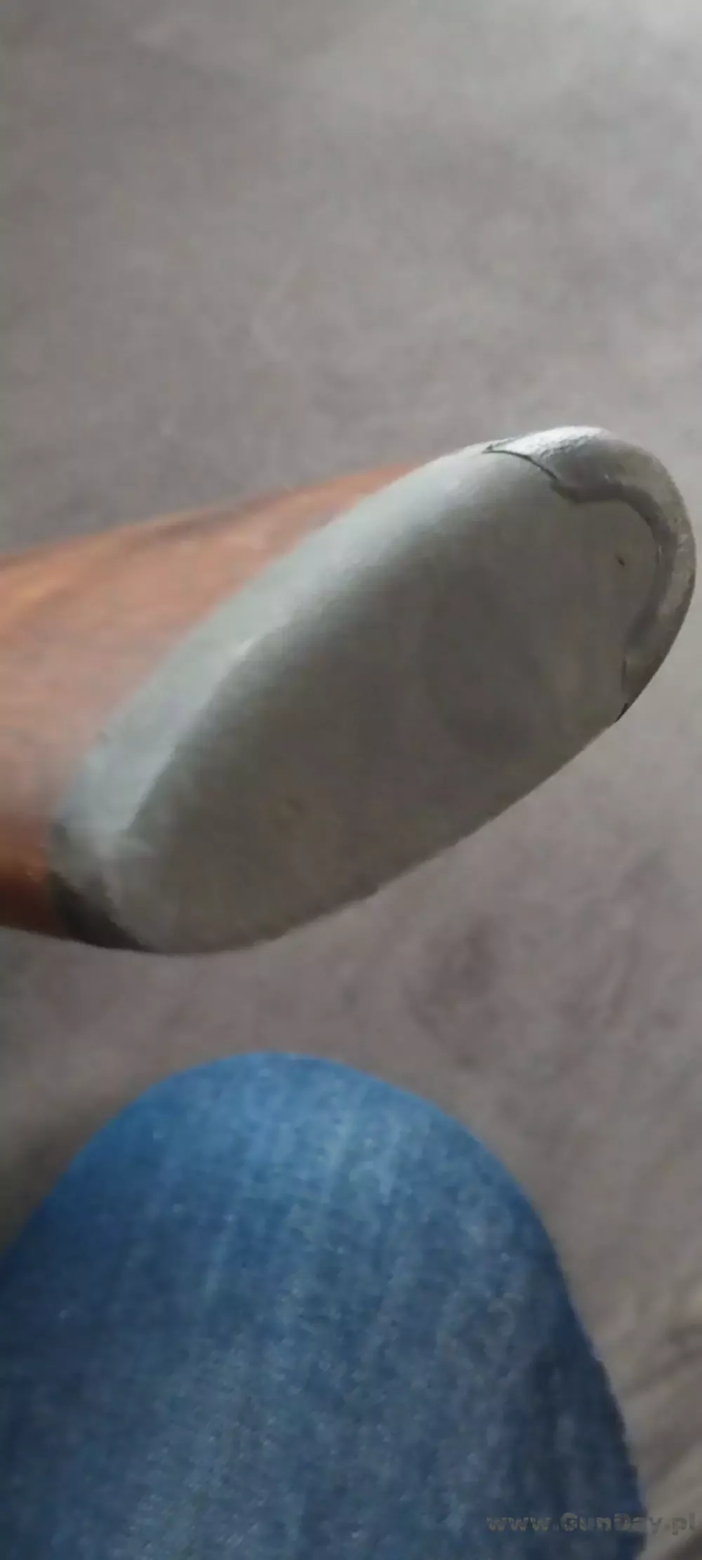 1000046011.jpg