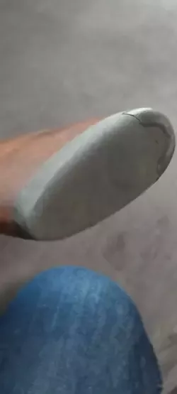 1000046011.jpg