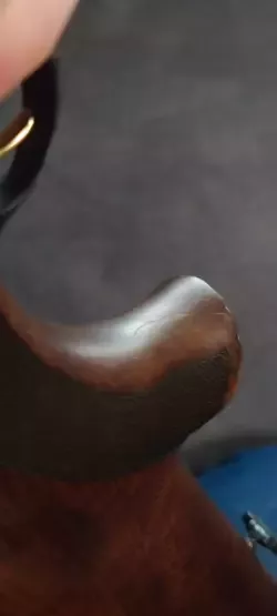 1000046010.jpg