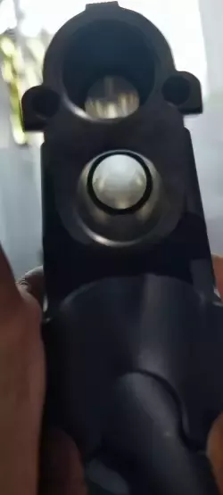 1000046007.jpg