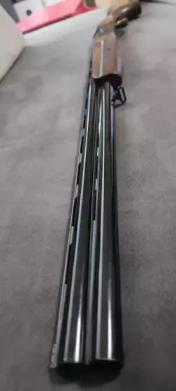 1000046000.jpg