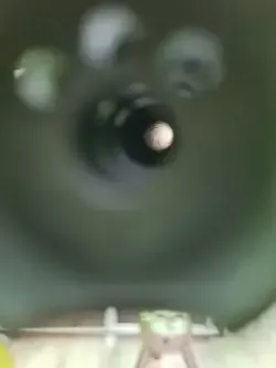 20250615_135436.jpg
